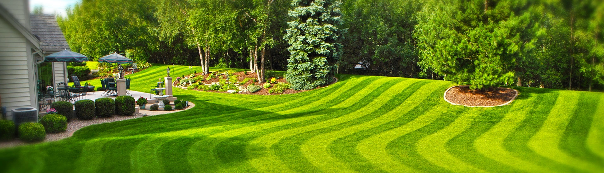 photo of perfectly manicured backyard after using lawn care software